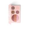 Pretty Rose Palette Alcina Schnittwerk Ginsheim